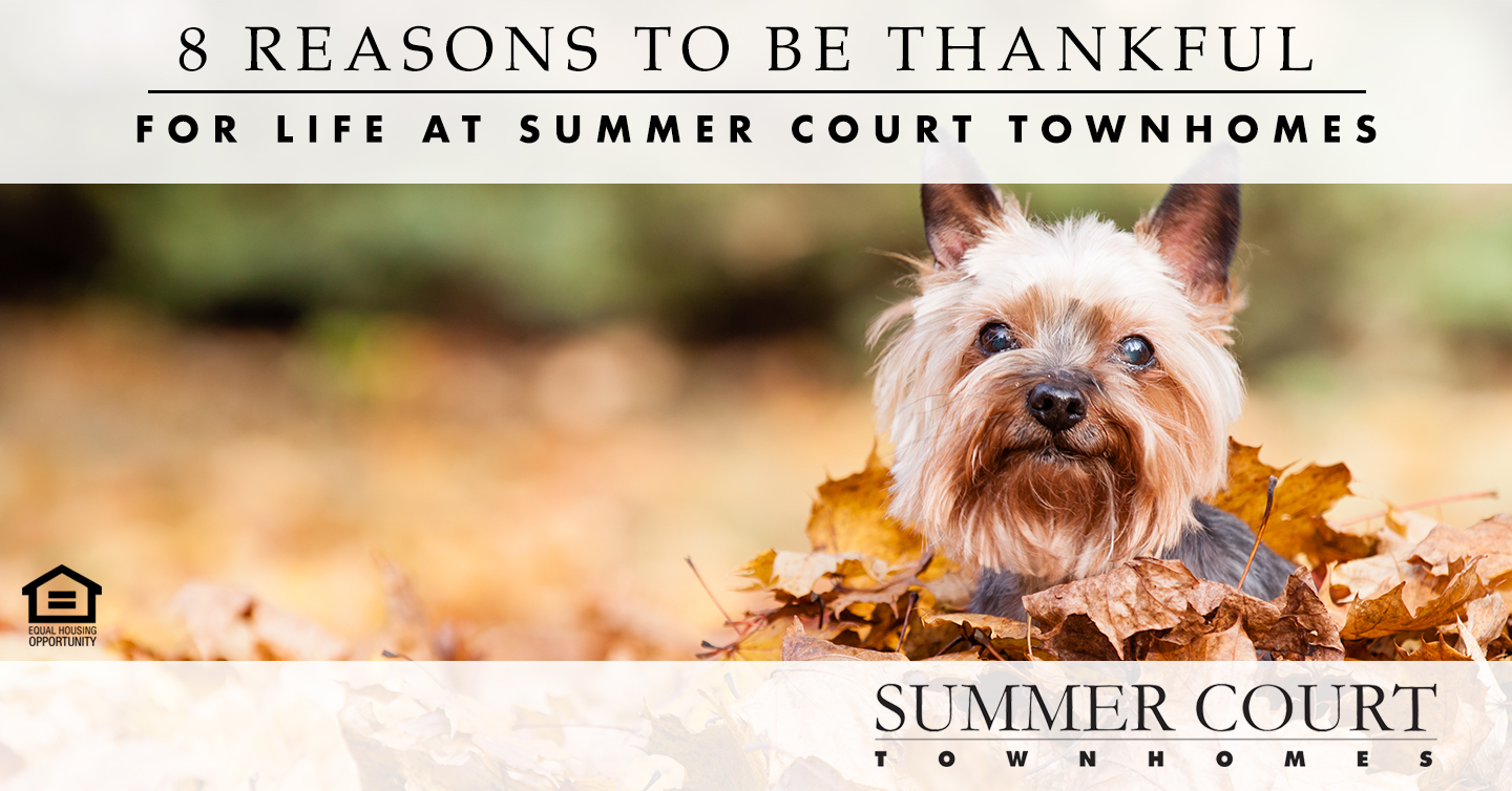 reasons to be thankful for life at Summer Court Townhomes