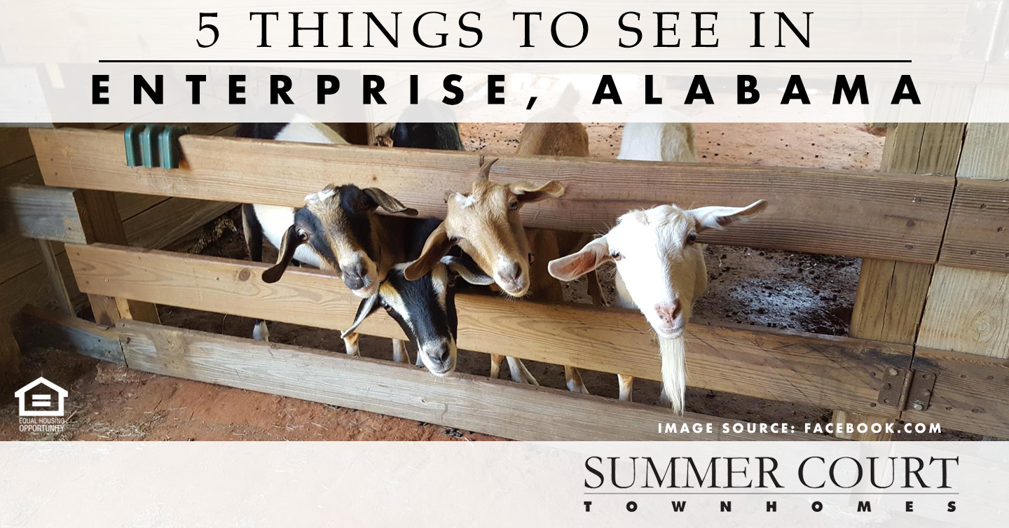 things to see in Enterprise, Alabama