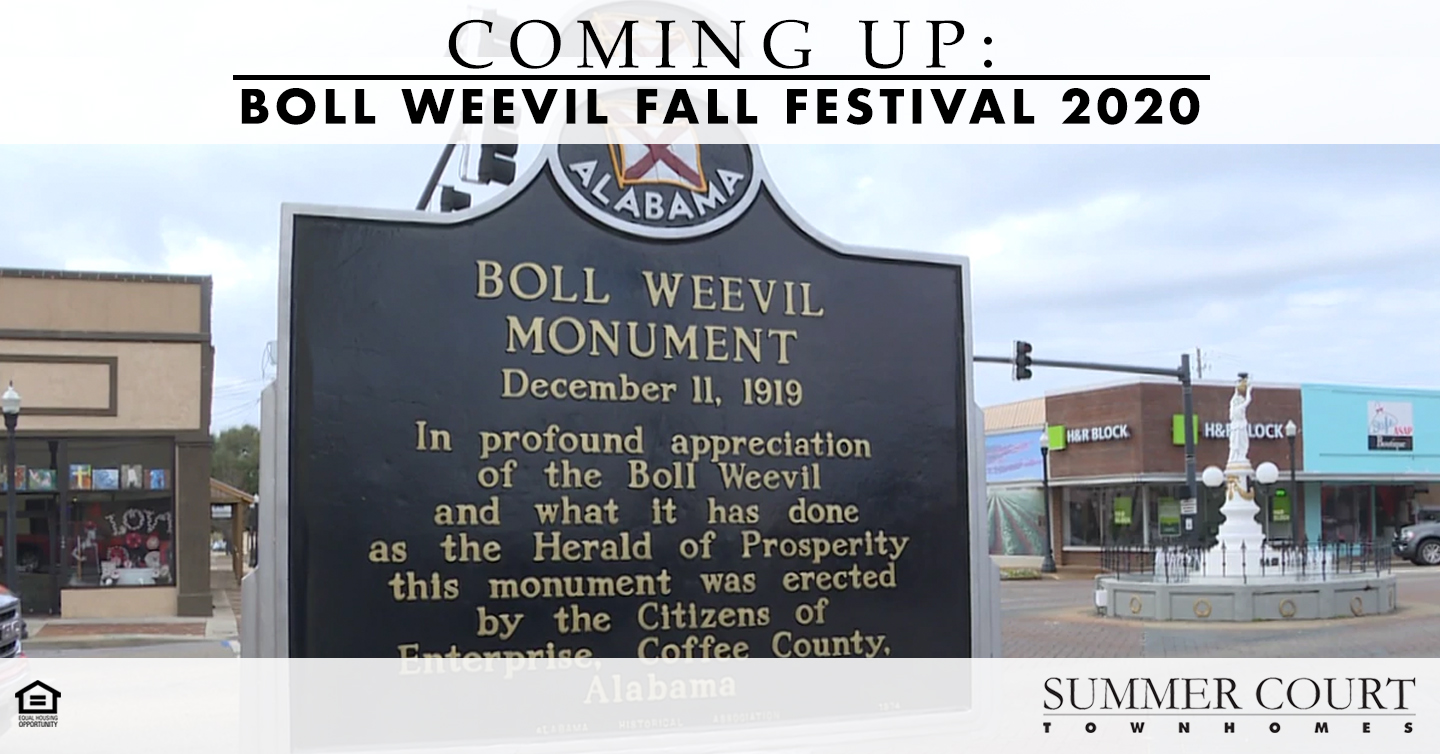 Boll Weevil Fall Festival 2020